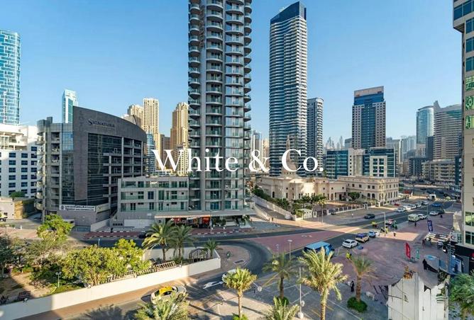 16196057 - Property Image 3