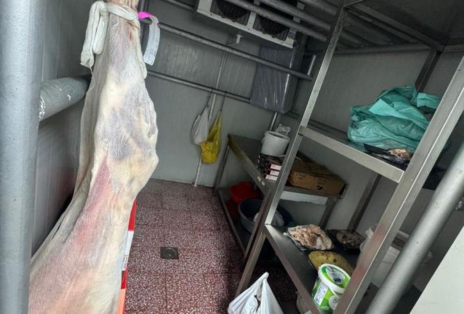 16238908 - صورة العقار 3