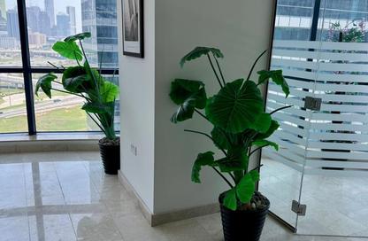 Office Space - Studio - 1 for rent in Jumeirah Bay X2 - Jumeirah Bay Towers - JLT Cluster X - Jumeirah Lake Towers - Dubai