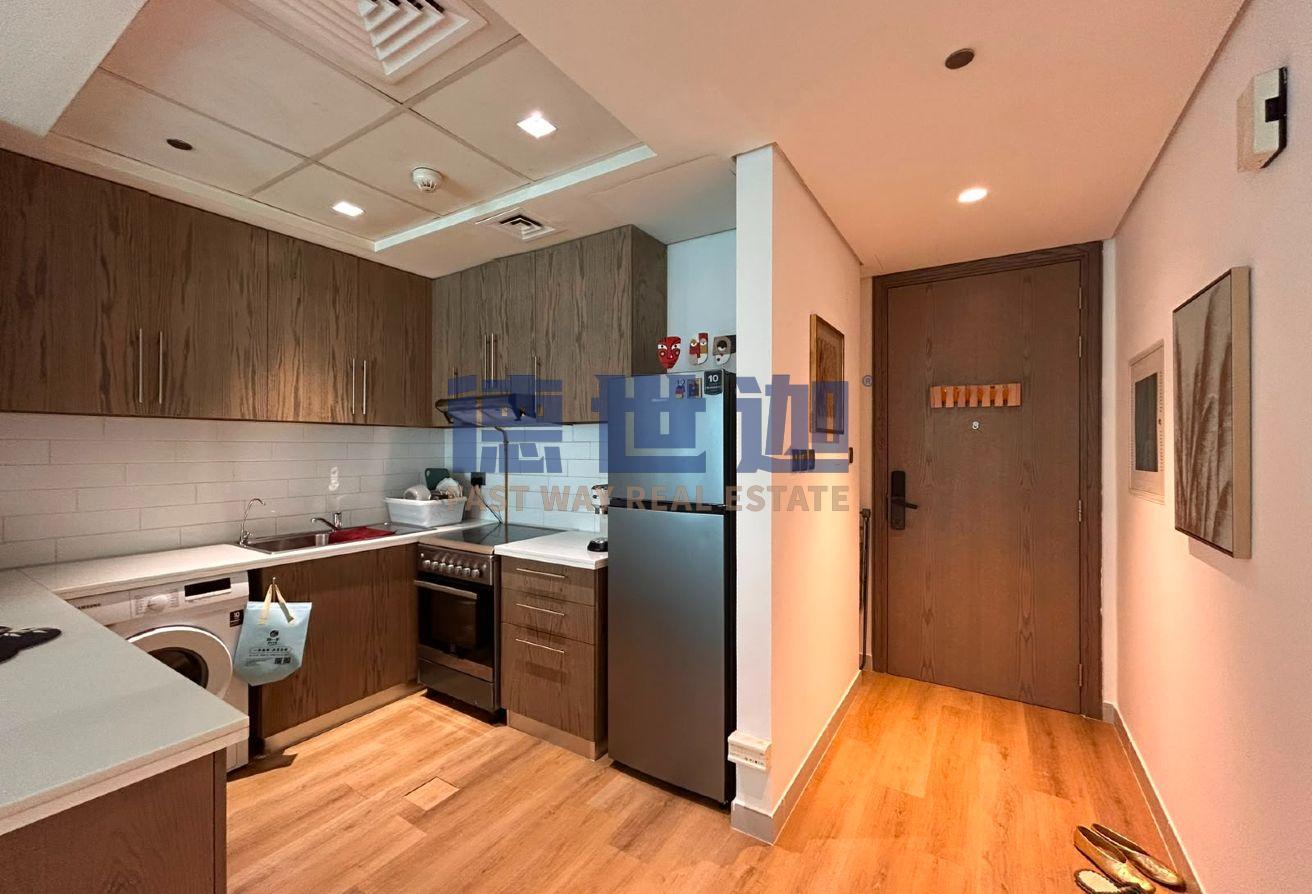 Fully Furnished | 1BHK | Vacant | Upgraded photo 4