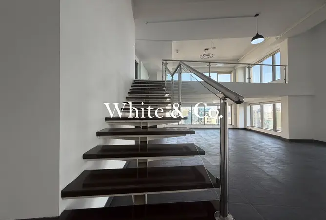 154166624 - Property Image 3