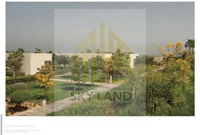 146006721 - Property Image 3