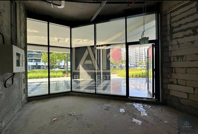 16110789 - Property Image 3