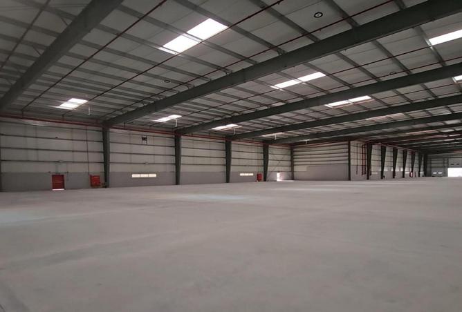 16284623 - Property Image 3