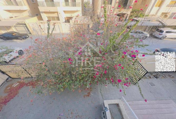 71135380 - صورة العقار 3