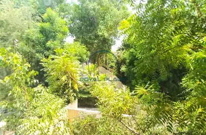 فيلا - 2 غرف نوم - 3 حمامات للبيع في الينابيع 8 - الينابيع - دبي