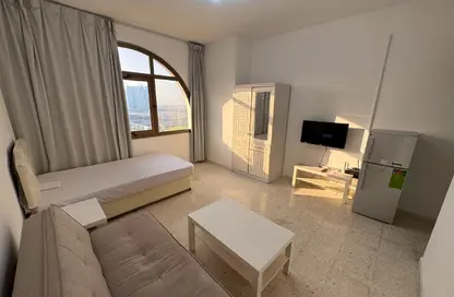 Apartment - 1 Bathroom for rent in Tourist Club Area - Abu Dhabi Apartment - 1 Bathroom for rent in Tourist Club Area - Abu Dhabi