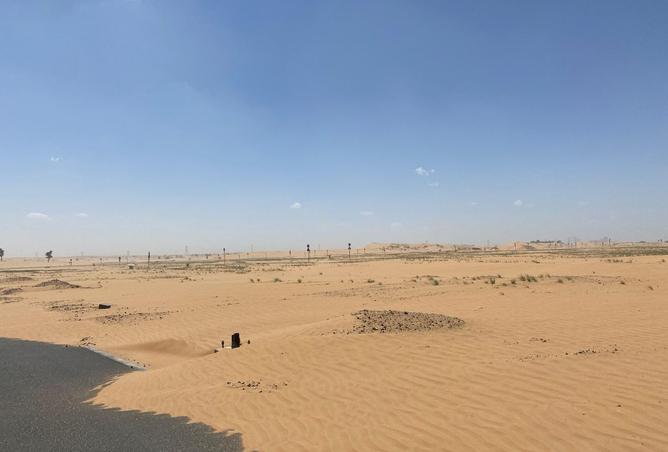 135144399 - Property Image 3