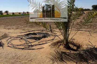 Farm - Studio for sale in Al Khatim - Abu Dhabi