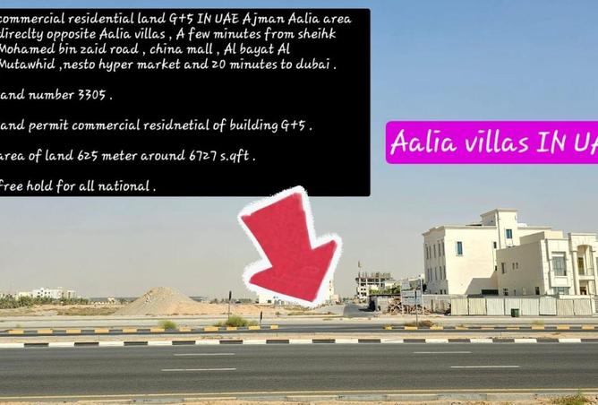 16264265 - Property Image 2