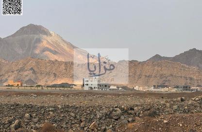 Farm - Studio for rent in Siniyah Island - Umm Al Quwain Marina - Umm Al Quwain