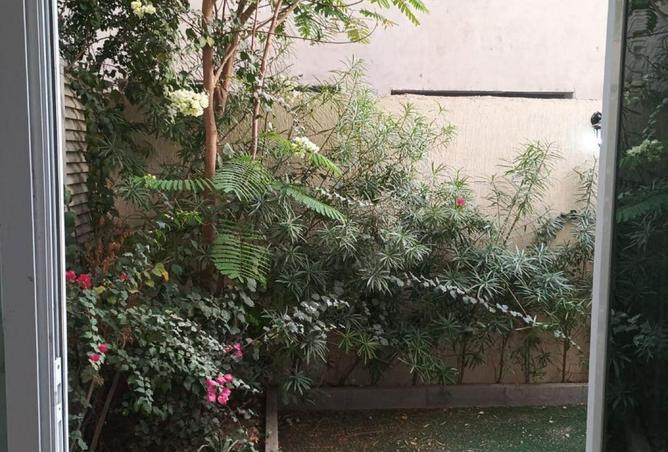 16244571 - صورة العقار 3