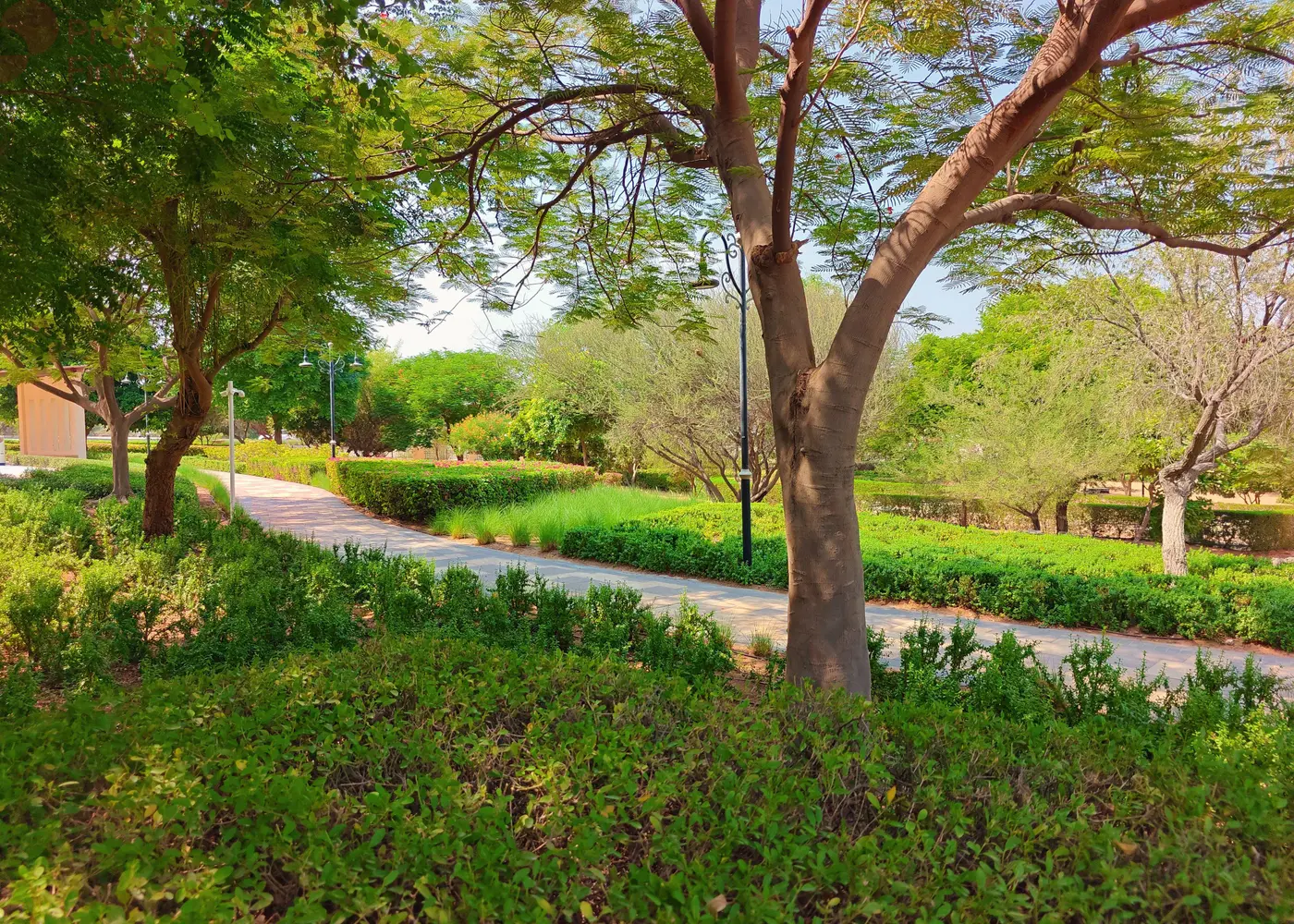 Image for Community Overview in Hatta