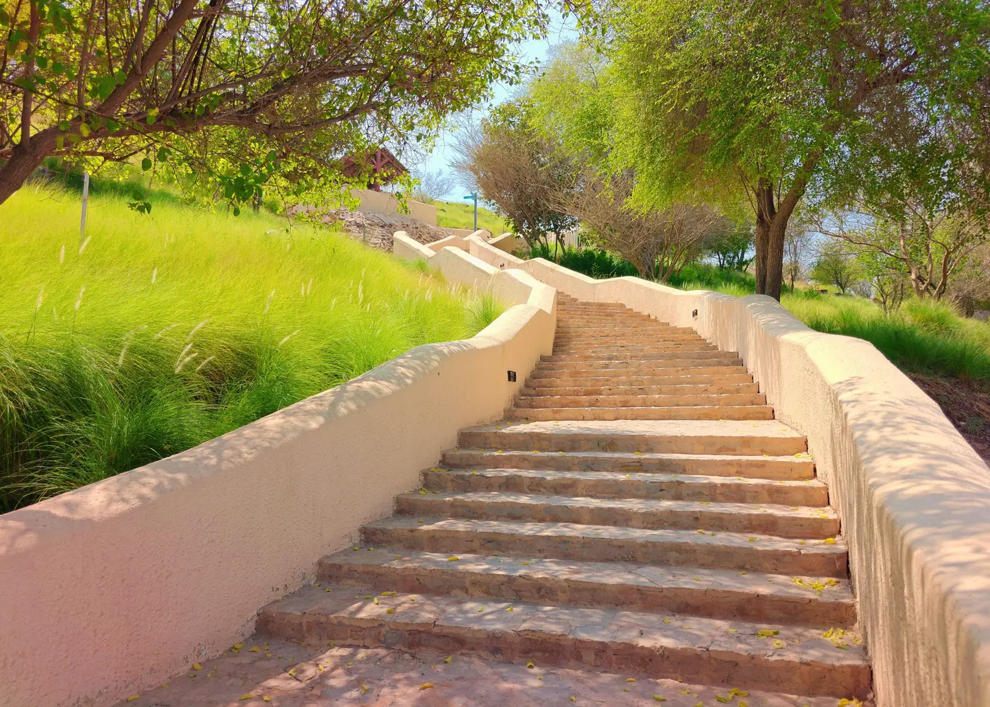 Image for Community Overview in Hatta