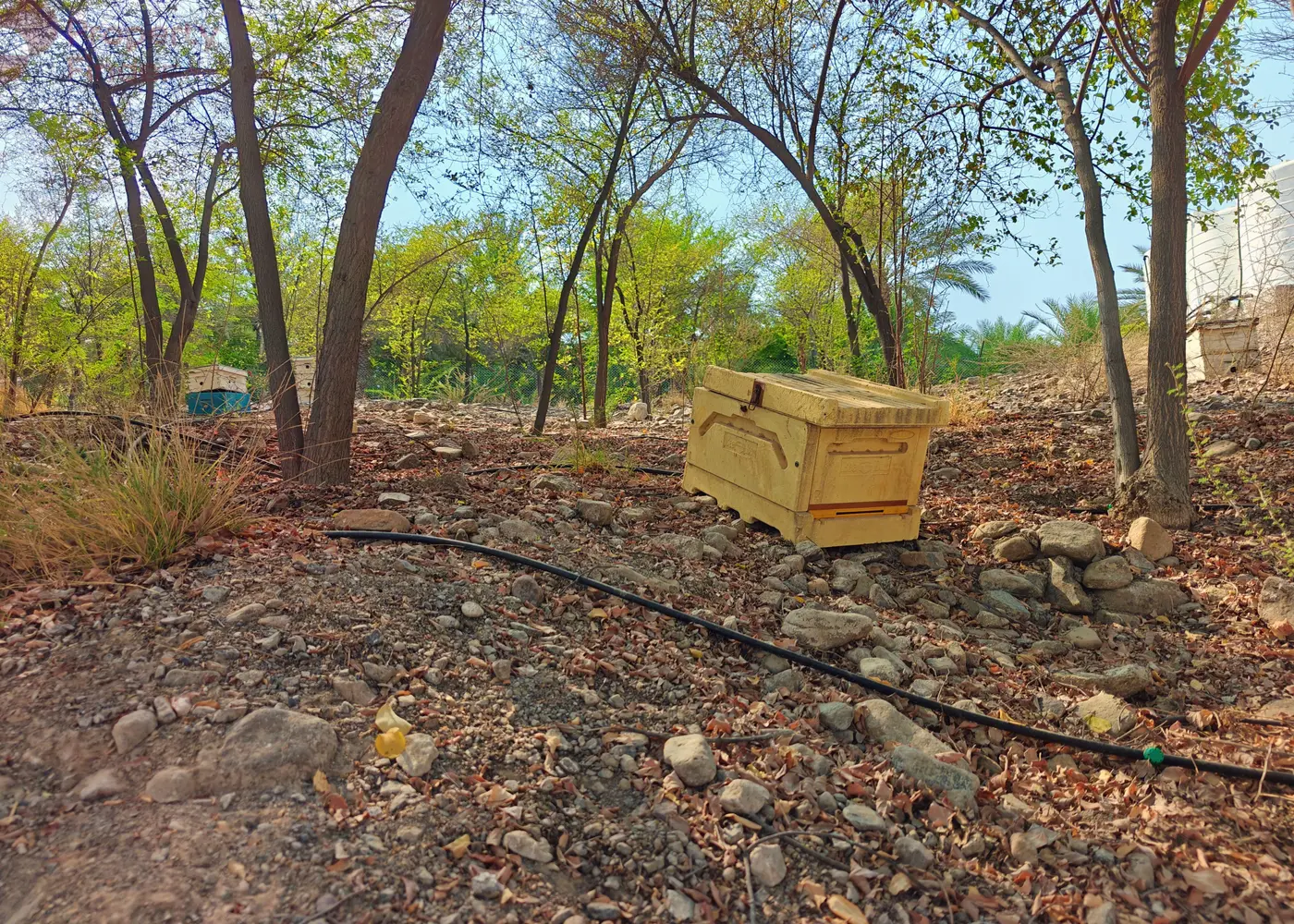 Image for Community Overview in Hatta