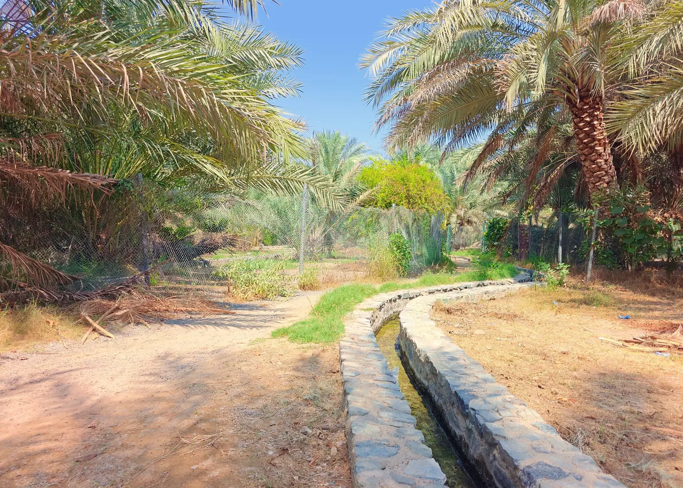 Image for Community Overview in Hatta