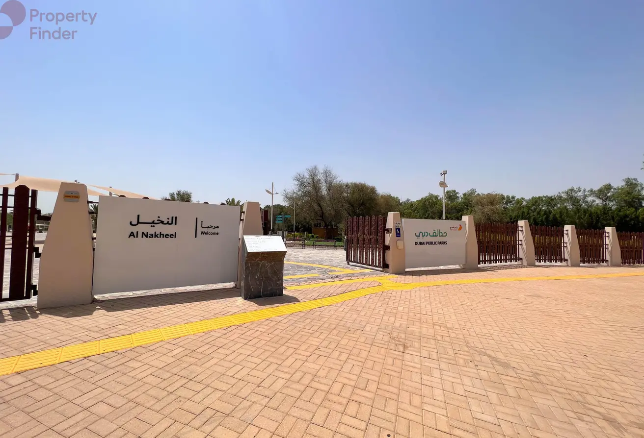العوير